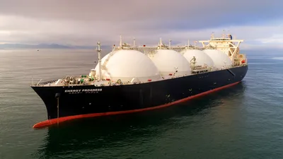 crude edible oil