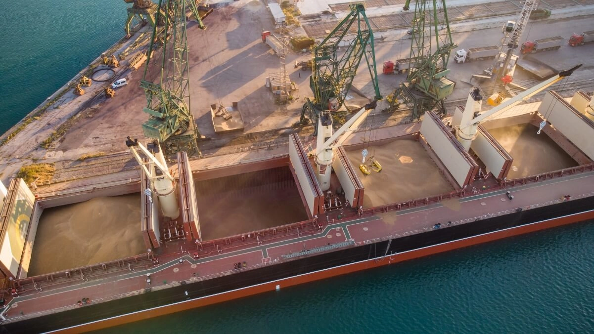 loose bulk cargo 2