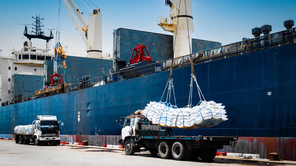 Shipping Agency Cargo Discharge